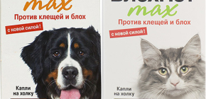 Produkte Blochnet für Katzen und Hunde: Bewertungen und Anwendungshinweise
