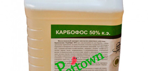 Karbofos und seine Anwendung zur Bekämpfung von Hauswanzen