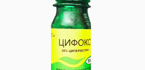 Wanzenmittel Tsifoks