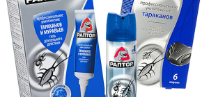 Mittel gegen Kakerlaken Raptor: Aerosol, Falle oder Gel. Was ist besser?