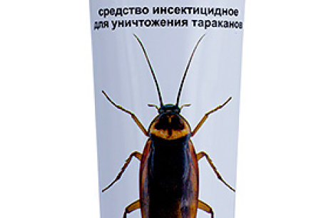 Gel-Paste Desus gegen Kakerlaken