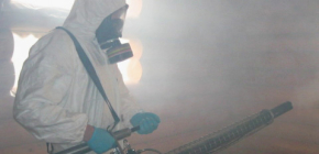 Wie effektiv ist die Wanzenbekämpfung mit Heißnebel?