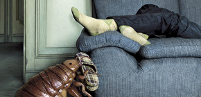 Wie man Wanzen im Sofa loswird