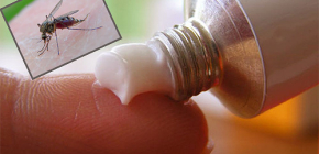 Salbe gegen Insektenstiche auswählen zur Linderung von Juckreiz, Schwellung und Allergie