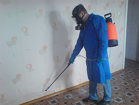Die professionelle Schädlingsbekämpfung gegen Bettwanzen ist die effektivste Methode zur Beseitigung der Insekten Die professionelle Schädlingsbekämpfung gegen Bettwanzen ist die effektivste Methode zur Beseitigung der Insekten