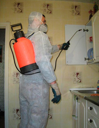 Ein Mitarbeiter des Schädlingsbekämpfungsdienstes behandelt eine Wohnung gegen Kakerlaken Ein Mitarbeiter des Schädlingsbekämpfungsdienstes behandelt eine Wohnung gegen Kakerlaken