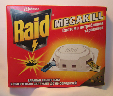Kakerlakenfallen Raid Kakerlakenfallen Raid