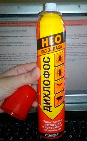 Dichlofos Neo Dichlofos Neo