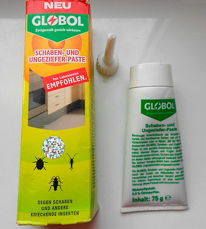 Ein äußerst wirksames Gel gegen Kakerlaken: Globol Ein äußerst wirksames Gel gegen Kakerlaken: Globol