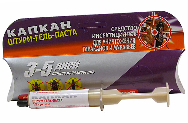 Sturm-Gel-Paste gegen Kakerlaken Sturm-Gel-Paste gegen Kakerlaken