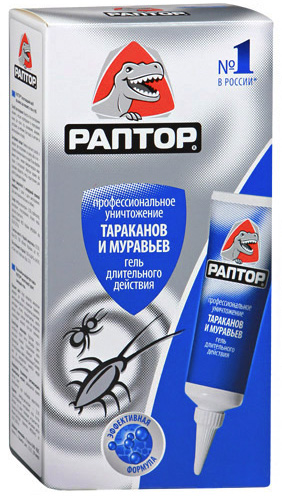 Beispiel eines Insektizids gegen Kakerlaken: Raptor-Gel Raptor Kakerlaken-Gel