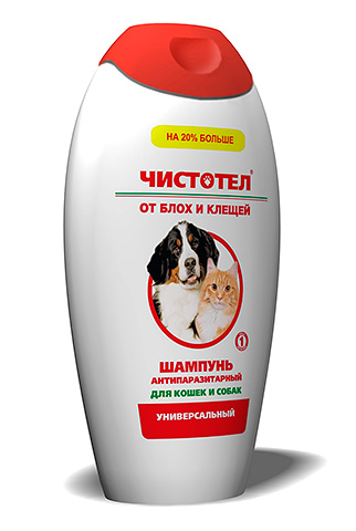 Flohshampoo für Haustiere