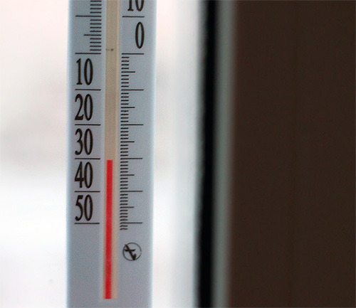Wanzen sterben bei Frost (unter minus 22 Grad Celsius) Wanzen sterben bei Frost