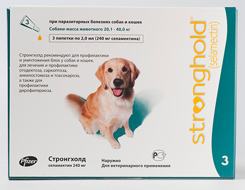 Flöhe Tropfen für Hunde Stronghold Flöhe Tropfen für Hunde Stronghold