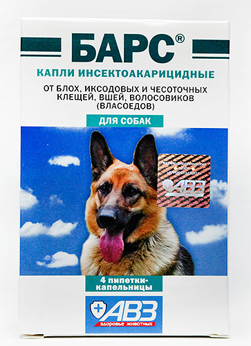 Flöhe Tropfen Bars Flöhe Tropfen Bars