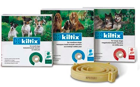 So sieht zum Beispiel ein Flohhalsband von Kiltix aus. So sieht zum Beispiel ein Flohhalsband von Kiltix aus.