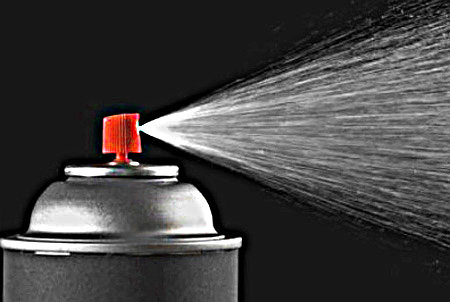 Kakerlakenspray