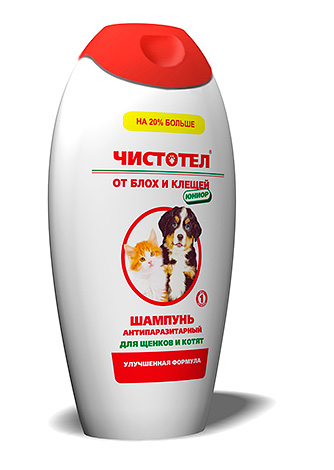 Flohshampoo Chistotel Flohshampoo Chistotel