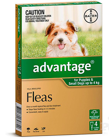 Flöhtropfen für Welpen Advantage Flöhtropfen für Welpen Advantage