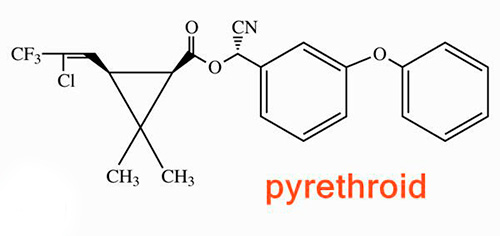 Beispiel einer chemischen Struktur von Pyrethroiden Beispiel einer chemischen Struktur von Pyrethroiden