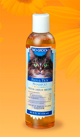 Shampoo gegen Zecken und Flöhe für Katzen: BIO-GROOM Shampoo gegen Zecken und Flöhe für Katzen: BIO-GROOM