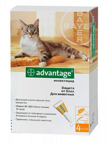Advantage Spot-on-Tropfen Advantage Spot-on-Tropfen