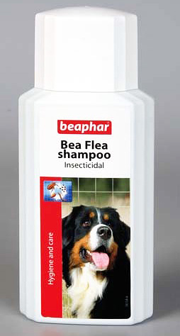 Das Anti-Floh-Shampoo Beaphar ist teuer, aber sehr wirksam und sicher für Hunde Das Anti-Floh-Shampoo Beaphar ist teuer, aber wirksam und sicher für Hunde
