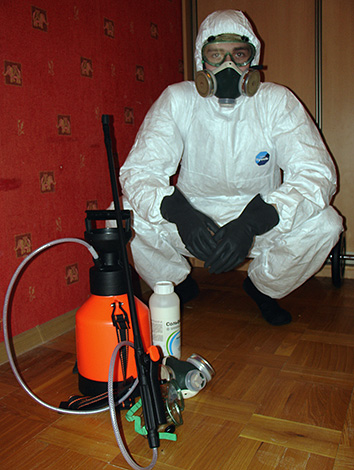 Die Fachleute des Schädlingsbekämpfungsdienstes können alle Arbeiten zur Beseitigung von Erdflöhen im Haus für Sie durchführen. Die Fachleute des Schädlingsbekämpfungsdienstes können alle Arbeiten zur Beseitigung von Erdflöhen im Haus für Sie durchführen.