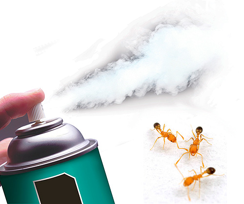Heute gibt es hochwirksame Insektizid-Aerosole, die Ameisen schnell vernichten. Heute gibt es hochwirksame Insektizid-Aerosole, die Ameisen schnell vernichten.