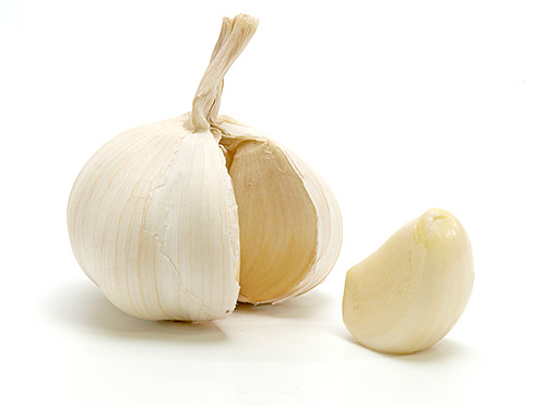 Knoblauch wird oft verwendet, um Lebensmittelmotten von den Vorräten fernzuhalten. Knoblauch wird oft verwendet, um Lebensmittelmotten von den Vorräten fernzuhalten.