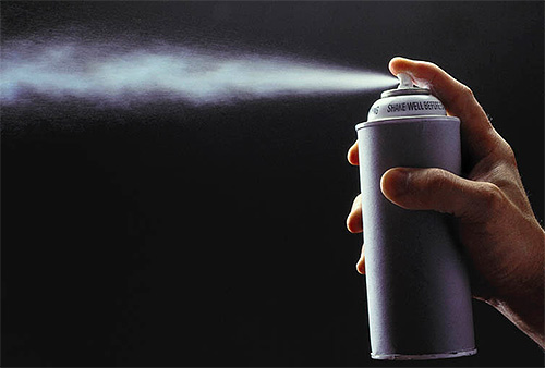 Ein Aerosol kann die Wohnung möglicherweise nicht von Ameisen befreien, wenn die Königin am Leben bleibt. Ein Aerosol kann die Wohnung möglicherweise nicht von Ameisen befreien, wenn die Königin am Leben bleibt.
