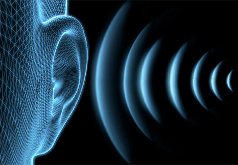 Das menschliche Ohr hört die Ultraschallsignale des Vertreibers nicht Das menschliche Ohr hört die Ultraschallsignale des Vertreibers nicht