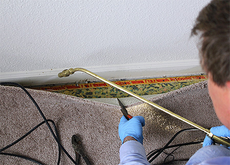 Die Beauftragung professioneller Schädlingsbekämpfer ist die effektivste Methode, um Ameisen in der Wohnung zu vernichten. Die Beauftragung professioneller Schädlingsbekämpfer ist die effektivste Methode, um Ameisen in der Wohnung zu vernichten.