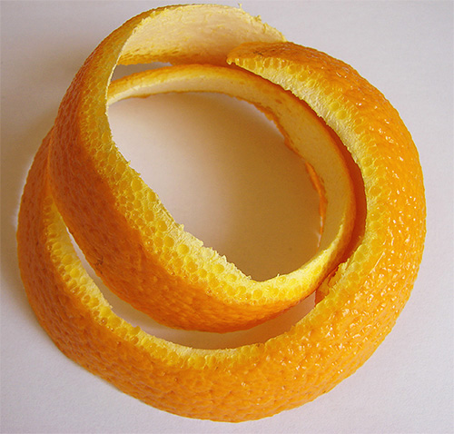 Orangenschalen sind ein bewährtes Hausmittel gegen Motten in der Küche, Hauptsache sie sind frisch. Orangenschalen sind ein bewährtes Hausmittel gegen Motten in der Küche, Hauptsache, sie sind frisch