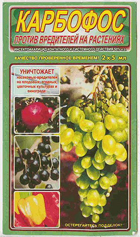 Karbofos in Ampullen (Konzentrat) Karbofos in Ampullen (Konzentrat)