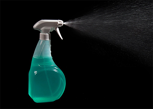 Zur Raumbehandlung gegen Bettwanzen kann die Lösung in eine gewöhnliche Sprühflasche gefüllt werden Zur Raumbehandlung gegen Bettwanzen kann die Lösung in eine gewöhnliche Sprühflasche gefüllt werden