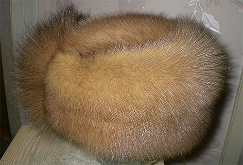Die Kopflaus kann durchaus von einer fremden Mütze auf Ihren Kopf überwandern. Die Kopflaus kann durchaus von einer fremden Mütze auf Ihren Kopf überwandern.