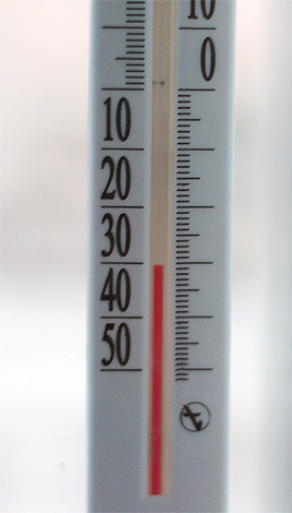 Starker Frost tötet Läuse sehr effektiv und schnell Starker Frost tötet Läuse sehr effektiv und schnell