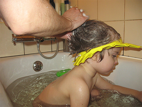 Die Kerosinmischung muss gründlich mit Shampoo vom Kopf des Kindes abgewaschen werden. Die Kerosinmischung muss gründlich mit Shampoo vom Kopf des Kindes abgewaschen werden.