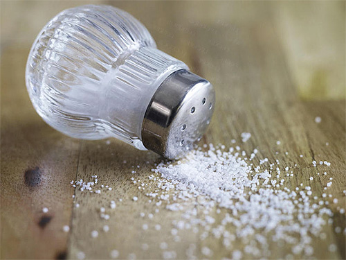 Mit einer Mischung aus Essig und Salz kann man Kopfläuse in wenigen Anwendungen loswerden Mit einer Mischung aus Essig und Salz kann man Kopfläuse in wenigen Anwendungen loswerden