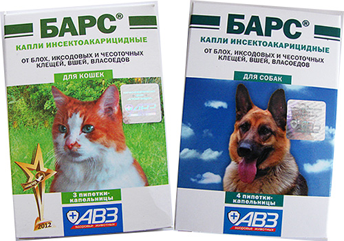 Wir lernen ein einheimisches Floh-Präparat für Katzen und Hunde kennen – die Tropfen Bars