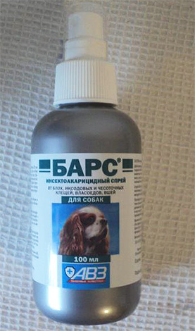 Bei der Anwendung des Flohsprays von Bars sollte dem Hund ein Maulkorb angelegt werden