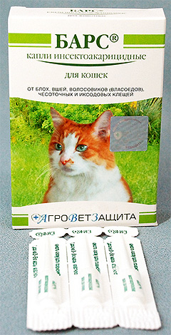 Bars-Flohtropfen für Katzen
