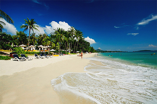 Seriöse Hotels in Vietnam und Thailand nehmen die Sauberkeit ihrer Strände ernst Seriöse Hotels in Vietnam und Thailand nehmen die Sauberkeit ihrer Strände ernst