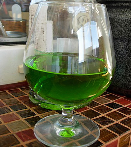 Wermut-Tinktur im Glas Wermut-Tinktur im Glas