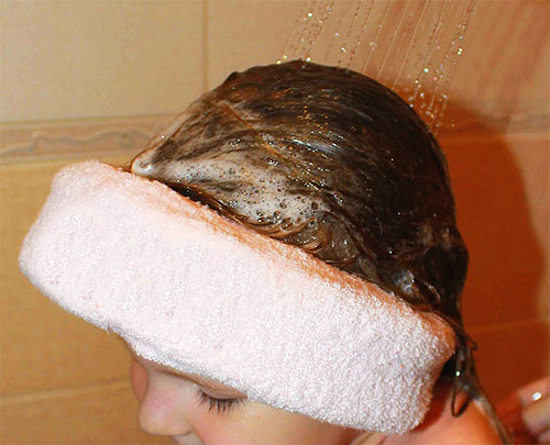 Um die Läuse bei einem Kind zu entfernen, müssen Sie ein spezielles Shampoo auf seinen Kopf auftragen, kurz warten und dann die Haare gründlich ausspülen. Um die Läuse bei einem Kind zu entfernen, müssen Sie ein spezielles Shampoo auf seinen Kopf auftragen, kurz warten und dann die Haare gründlich ausspülen.