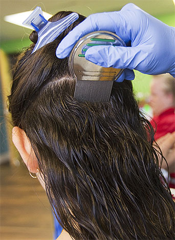 Nach der Haarwäsche mit einem speziellen Insektizid-Shampoo empfiehlt es sich, zusätzlich Läuse und Nissen mit einem Kamm auszukämmen. Nach der Haarwäsche mit einem speziellen Insektizid-Shampoo empfiehlt es sich, zusätzlich Läuse und Nissen mit einem Kamm auszukämmen.
