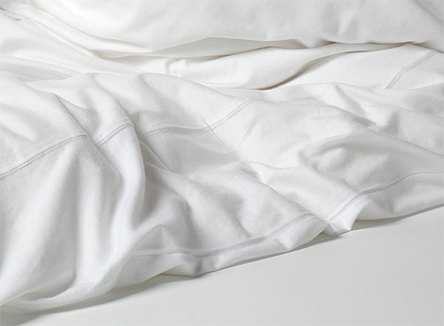 Es ist wichtig zu bedenken, dass man im Bett neben Flöhen auch andere Parasiten finden kann... Es ist wichtig zu bedenken, dass man im Bett neben Flöhen auch andere Parasiten finden kann...