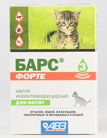 Insektizide Tropfen für Kätzchen Bars Forte