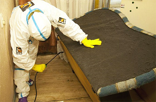Geschickte Schädlingsbekämpfer können nicht nur die Wanzen in der Wohnung vernichten, sondern auch eine Garantie geben, dass diese Parasiten Ihre Seelenruhe in naher Zukunft nicht stören werden. Geschickte Schädlingsbekämpfer können nicht nur die Wanzen in der Wohnung vernichten, sondern auch eine Garantie geben, dass diese Parasiten Ihre Seelenruhe in naher Zukunft nicht stören werden.